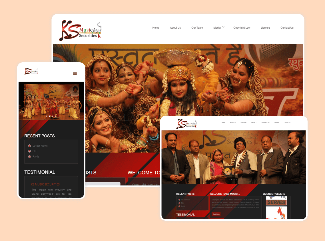 What is WordPress CMS